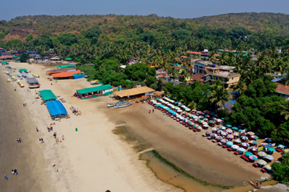 Aerial view of Arambol Beach showing the beach to the left and the shacks and shops wensing their way along hte beach to the right with mainland Goa rising behind.