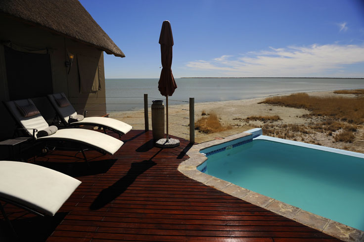 Okoshi in Etosha National Park Namibia