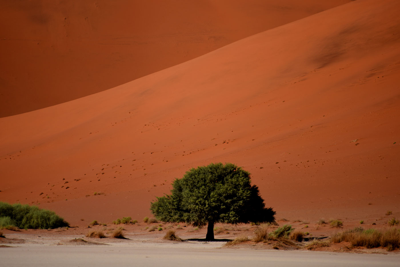 Travel guides and blogs about Namibia