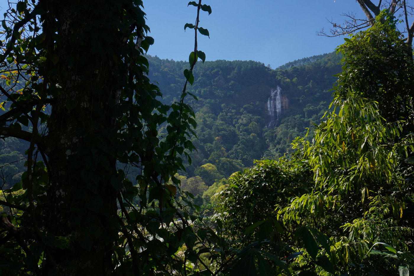 Doi Inthanon National Park Thailand